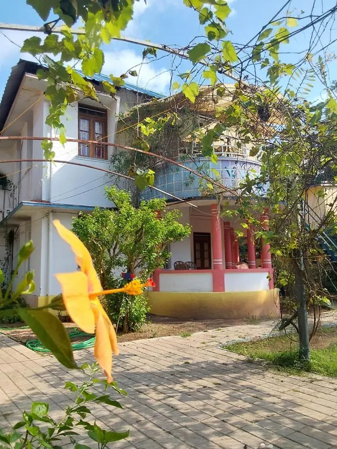 Johnson'S Homestay - Ecohouseboat Alappuzha
